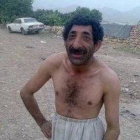 Анимедрот