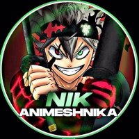 nik.animeshnika