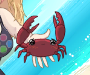 Crab