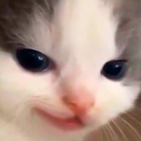 YouMissedYourLastShanse