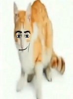 WXGNER