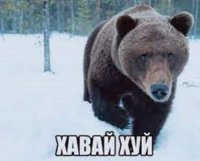 AlexUnder
