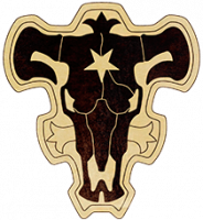Starosvet