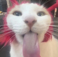 francepsycho