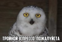 Мирный