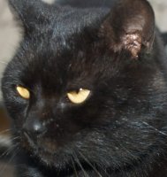 Margo