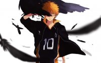 Кай006