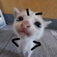 milu